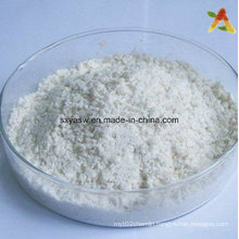 Natural High Purity Ampelopsis Grossedentata Extract